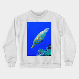 Animal Images Crewneck Sweatshirt